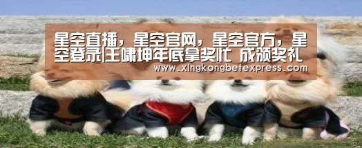 星空直播,星空官网,星空官方,星空登录|王啸坤年底拿奖忙 成颁奖礼宠儿(图2) 星空直播,星空官网,星空官方,星空登录