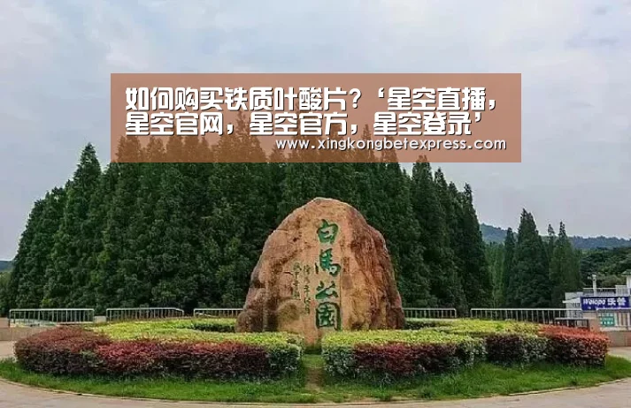 如何购买铁质叶酸片?‘星空直播,星空官网,星空官方,星空登录’(图3) 星空直播,星空官网,星空官方,星空登录